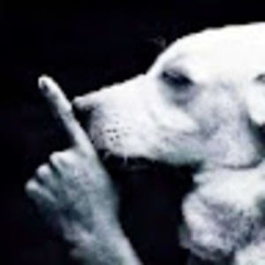 Meet your Posher, Elliot